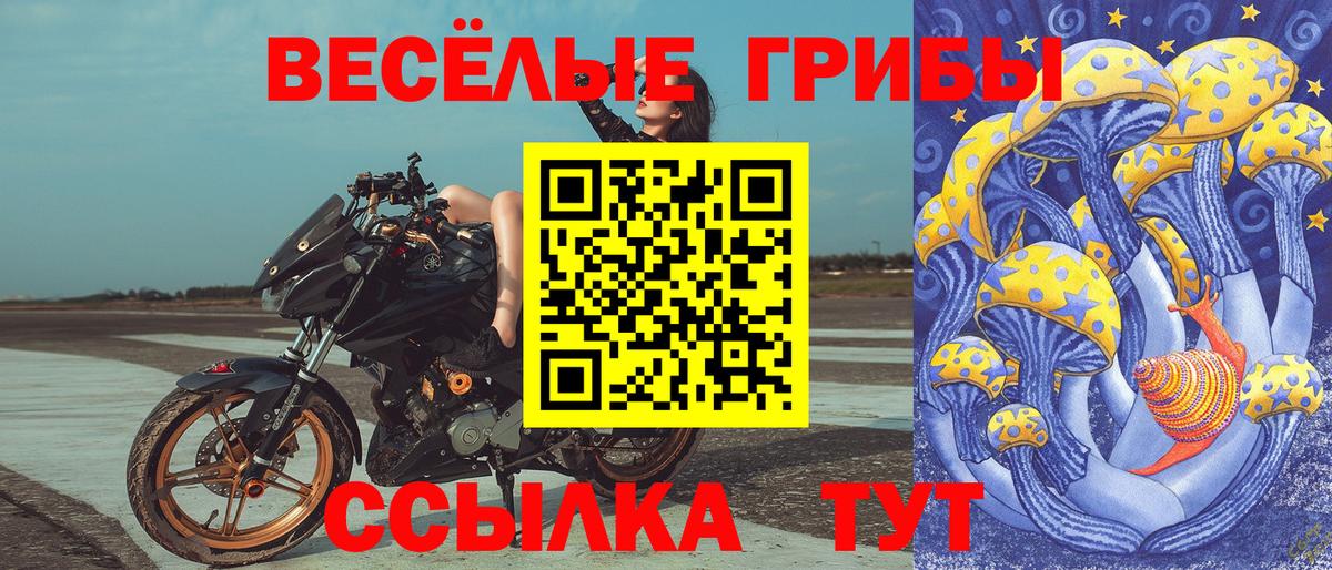 Галлюциногенные грибы мухоморы Магадан