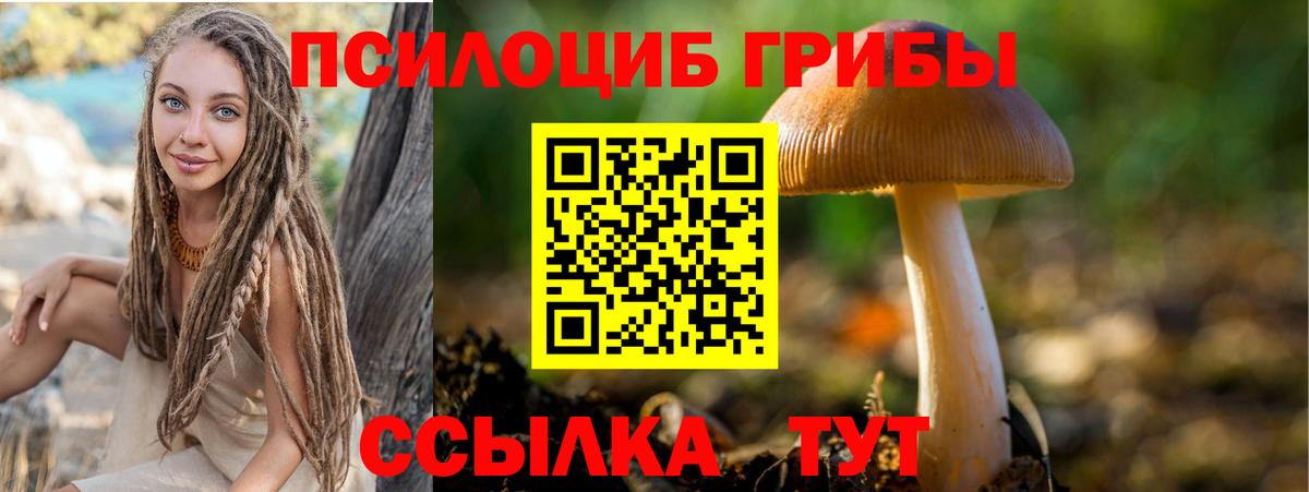 Магадан  Галлюциногенные грибы ЛСД  Галлюциногенные грибы GOLDEN TEACHER  продажа наркотиков  Вход с VPN 